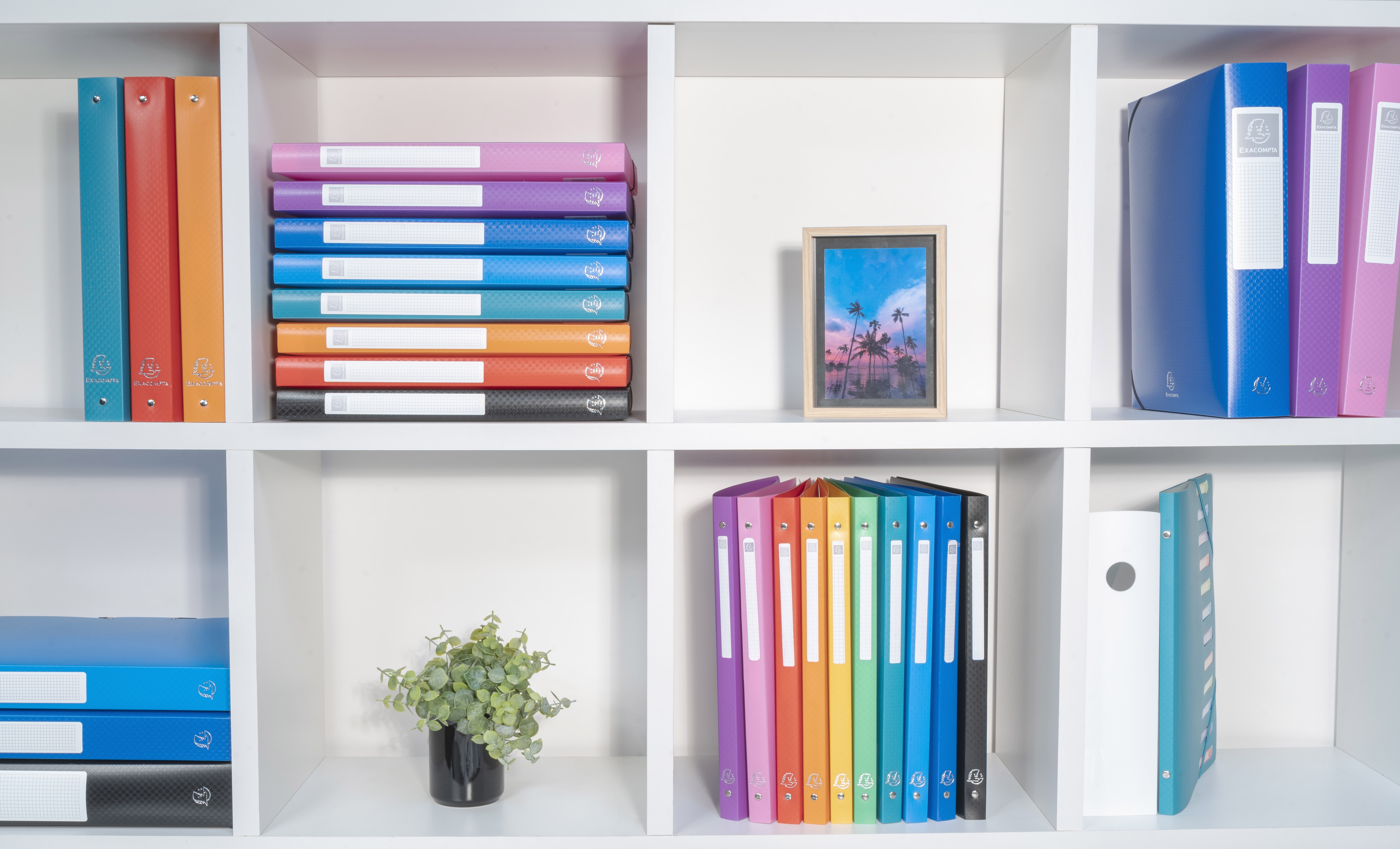 Classeur 4 anneaux 15mm polypropylène OPAK - A7