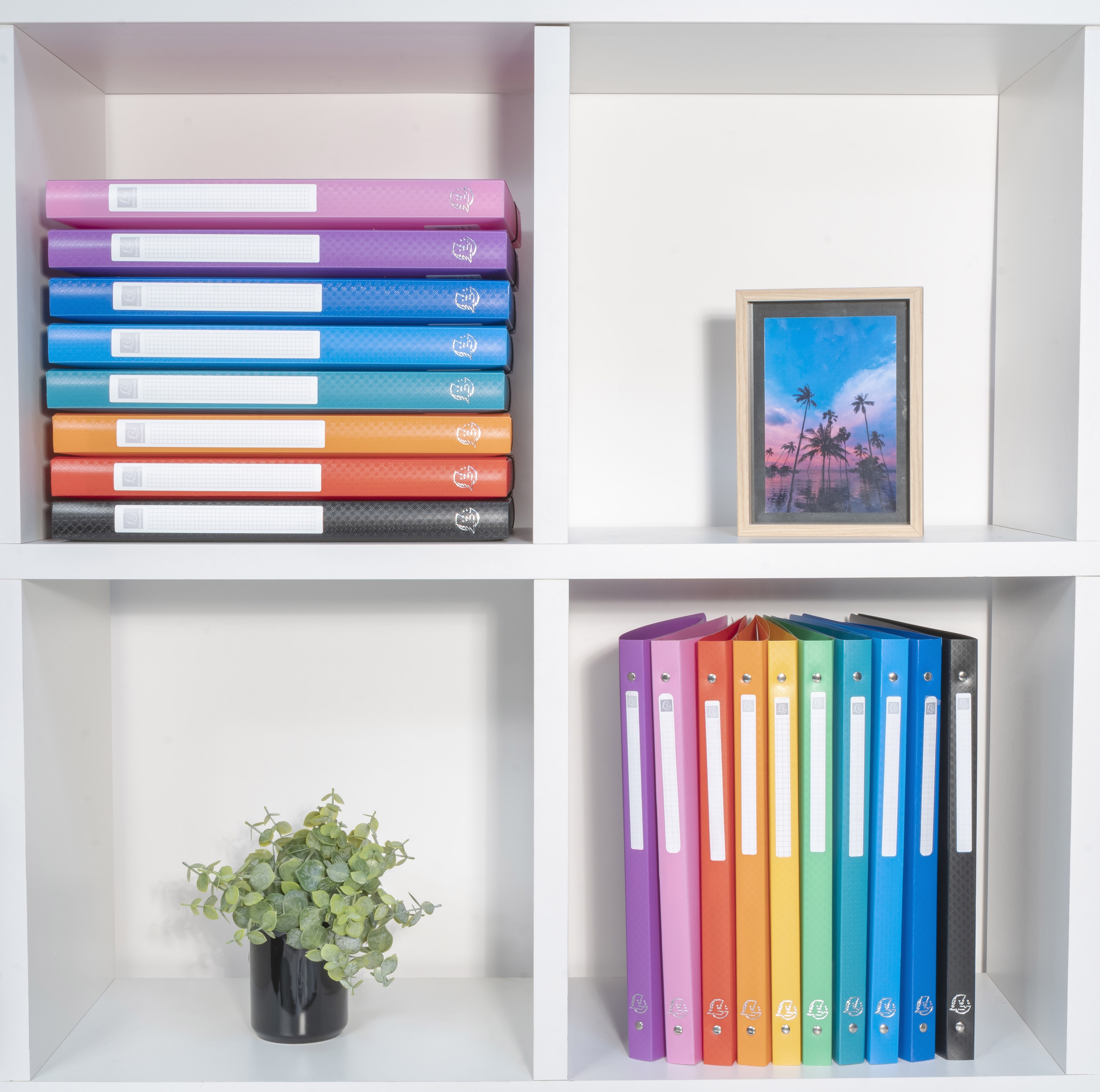 Classeur 4 anneaux 15mm polypropylène OPAK - A9