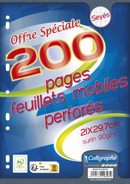 Feuillets mobiles grands carreaux